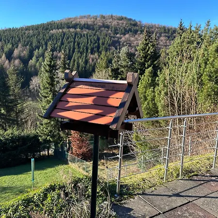 Ferienhaus Hilletalblick Winterberg Esterno foto